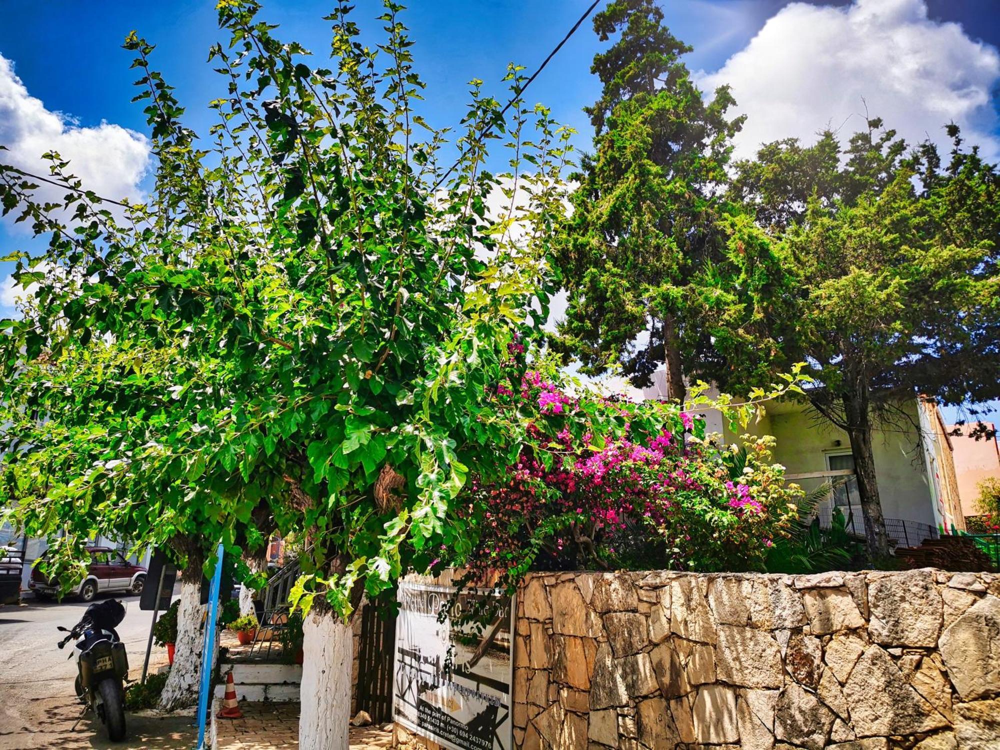 Phaos Residence, Your Stylish Crete Retreat Pánormos Esterno foto